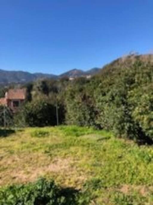 Villa En Corse Du Sud Entre Mer Et Montagne Peri エクステリア 写真