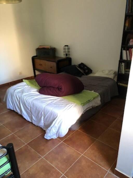 Villa En Corse Du Sud Entre Mer Et Montagne Peri エクステリア 写真